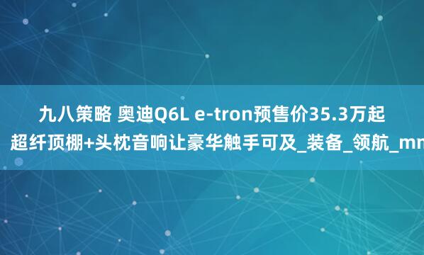 九八策略 奥迪Q6L e-tron预售价35.3万起！超纤顶棚+头枕音响让豪华触手可及_装备_领航_mm